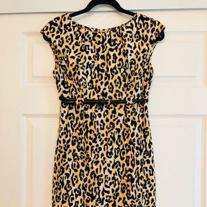 Calvin Klein belted leopard shift dress
